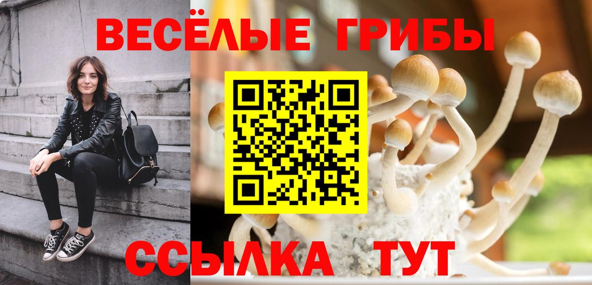 Борисоглебск  Галлюциногенные грибы Psilocybine cubensis  Вход с VPN 