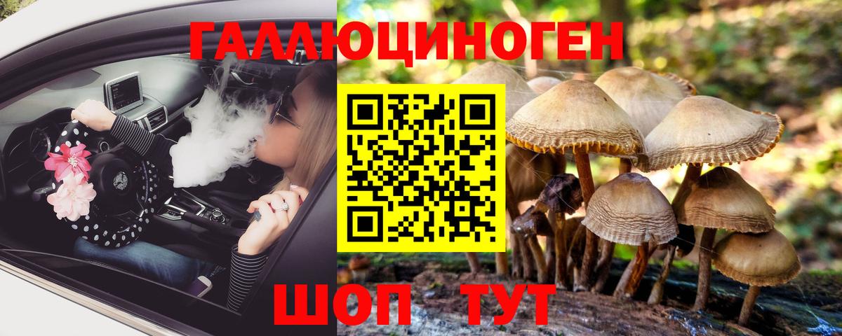 Псилоцибиновые грибы MAGIC MUSHROOMS Борисоглебск